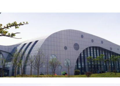 阳江会议中心外景网架工程